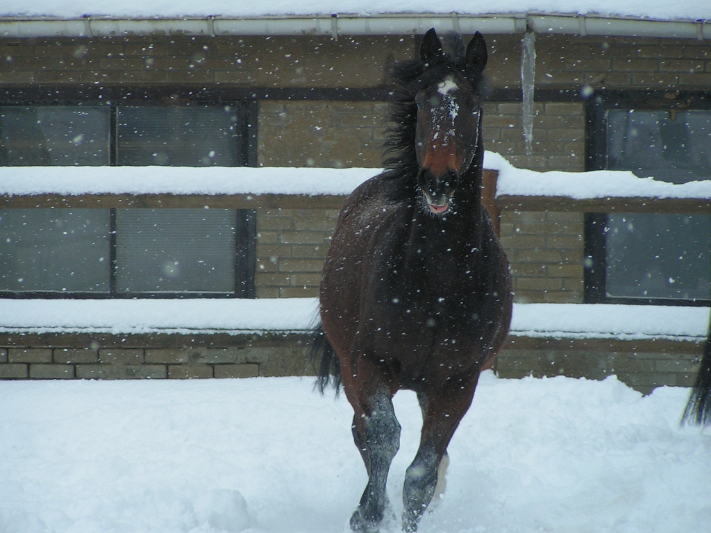 DECEMBRE 2005 245.jpg